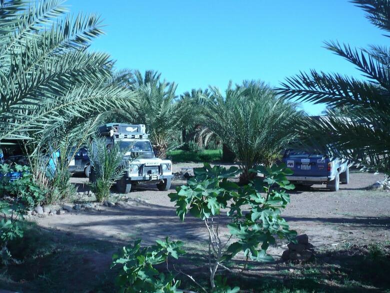 Hotel Camping Les Palmeraies