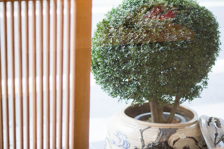 The Hotel Kiyomizu Gion