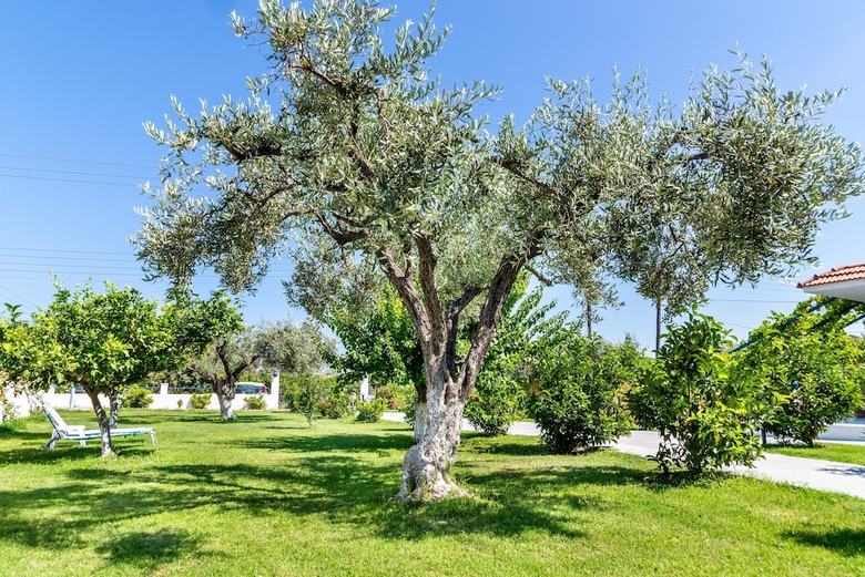 Apartamentos Villa Maroula