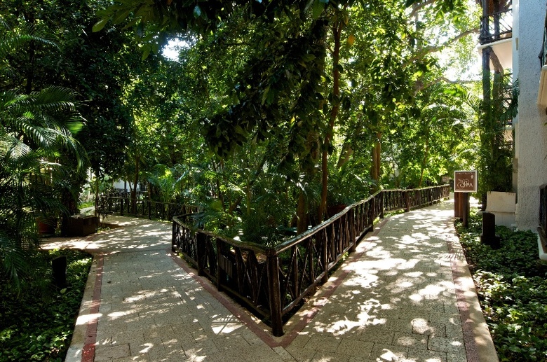 Hotel The Reef Playacar