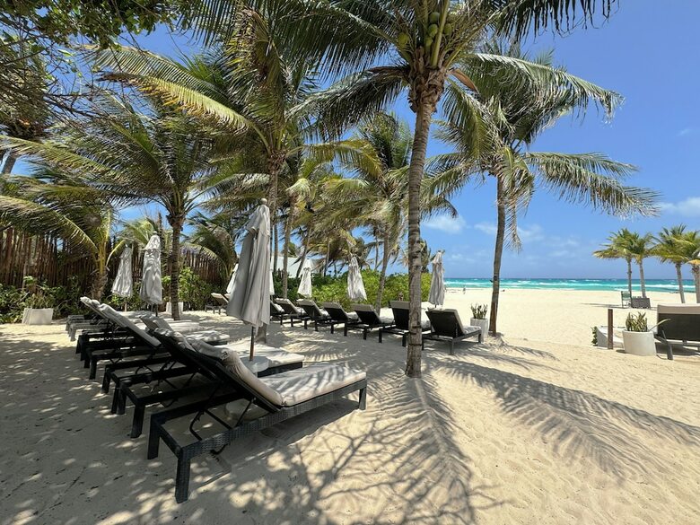 Hotel The Reef Playacar