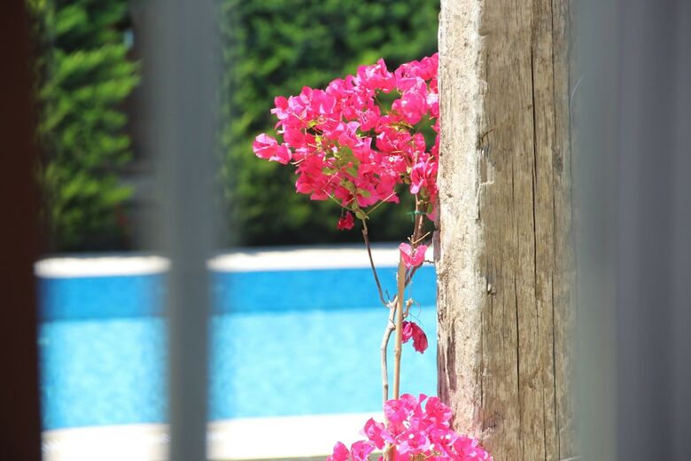 Hotel Leo Ala�ati