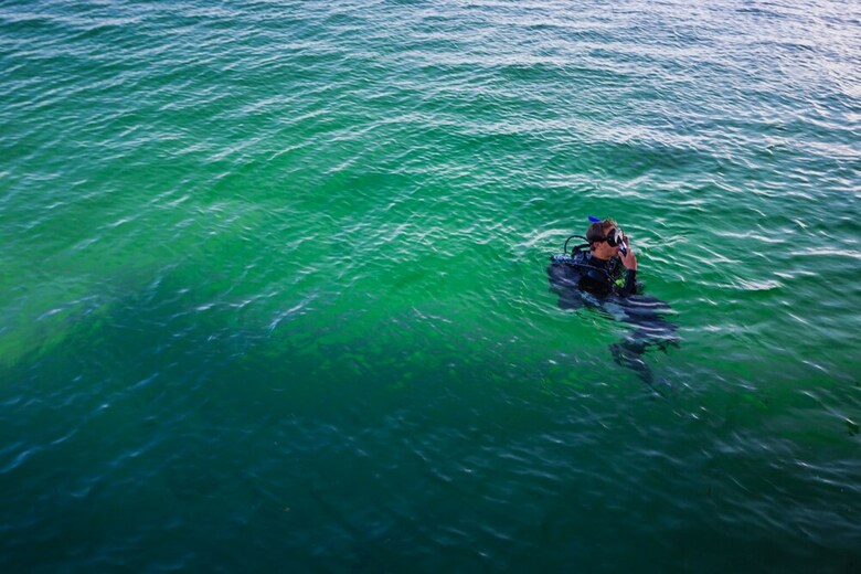 Divers Paradise Boutique Hotel
