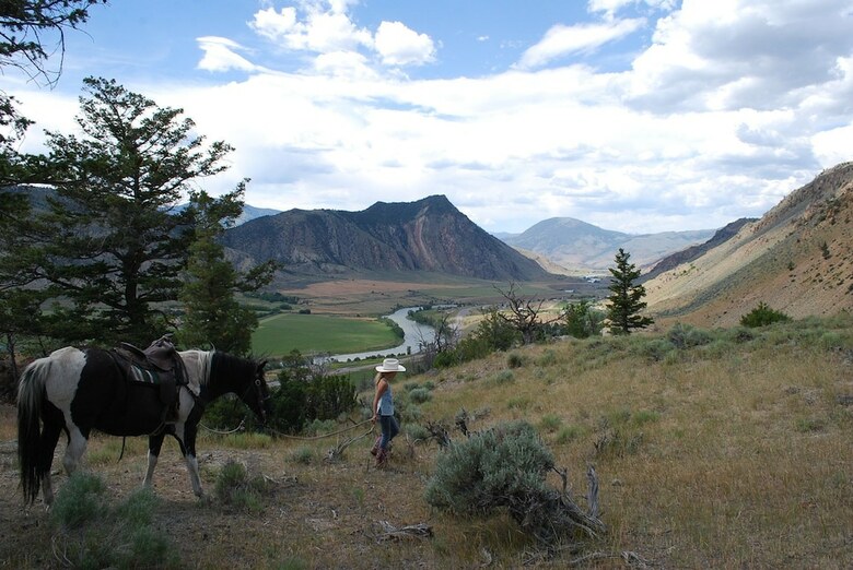Little Trail Creek Cabins