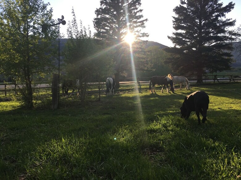 Little Trail Creek Cabins