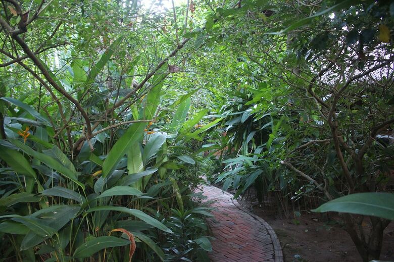 Hotel Botanica Guesthouse