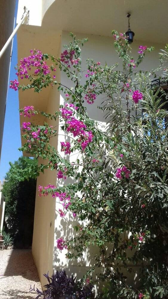 Apartamentos Villa Bahri Luxor