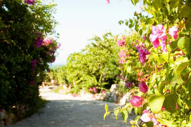 Apartamento Wild Beach Resort & Spa