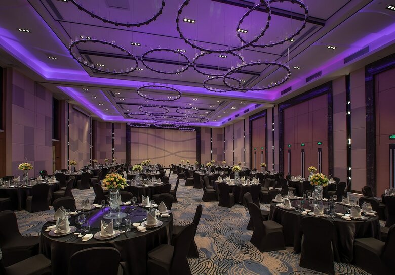Hotel Holiday Inn Tianjin Wuqing