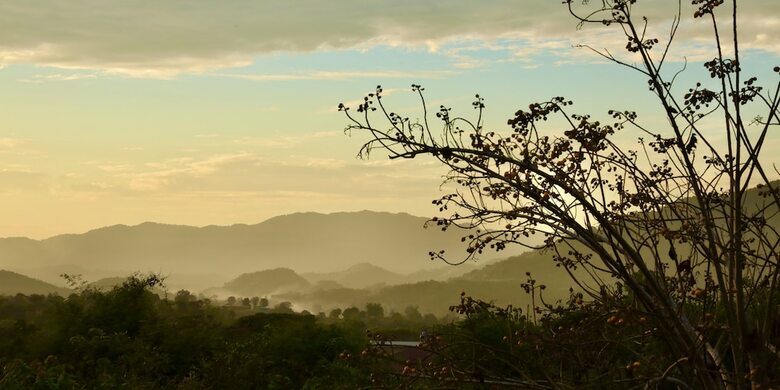 Hotel Naga Hill Resort