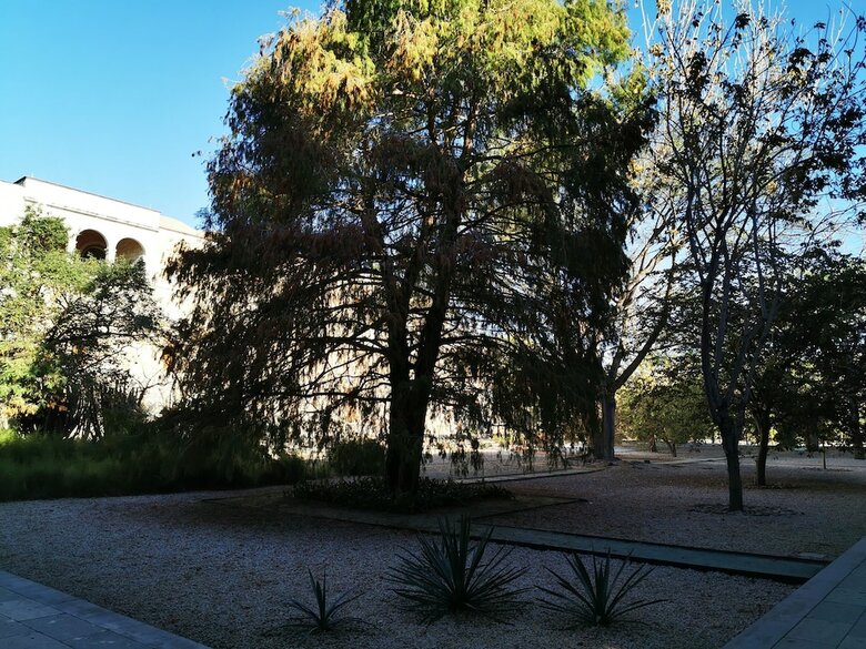 Hotel Los Ciruelos