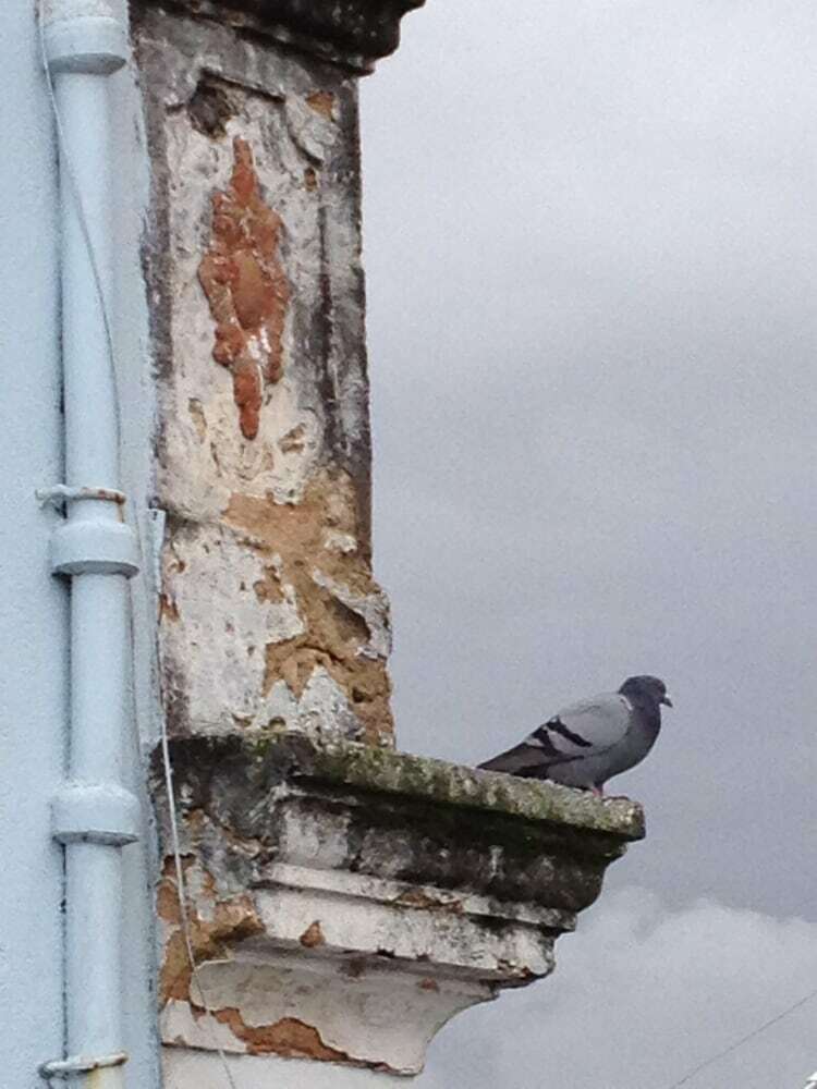 Hotel Lisbonrooftops