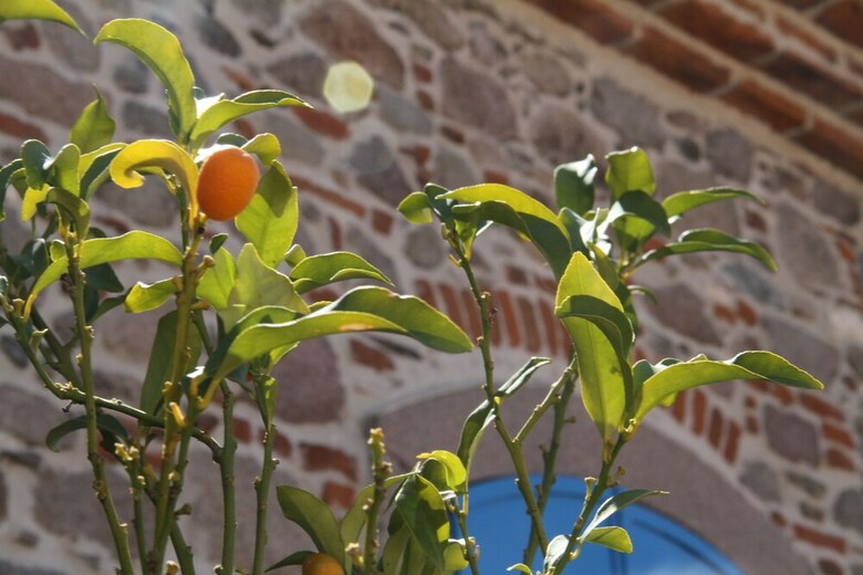 Hotel Bergama Tas Konak
