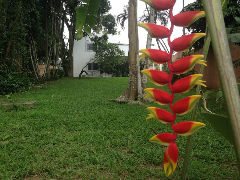 Hotel Villa Mango