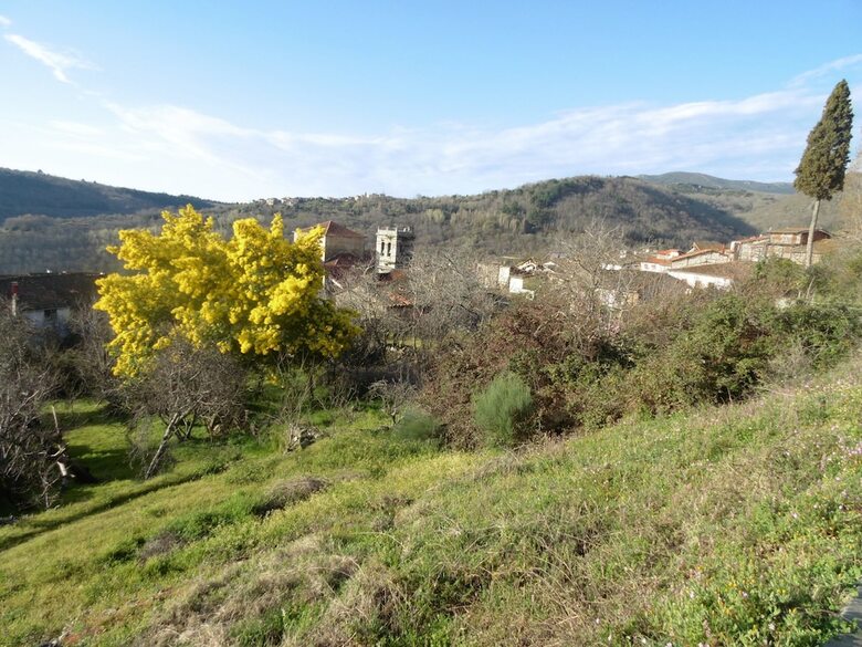 Apartamentos Azahar