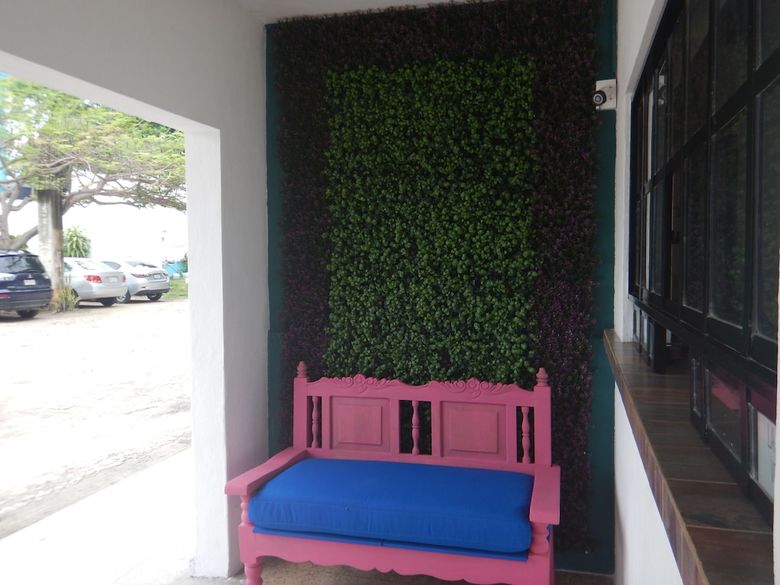 Motel Blue Coconut Cancun