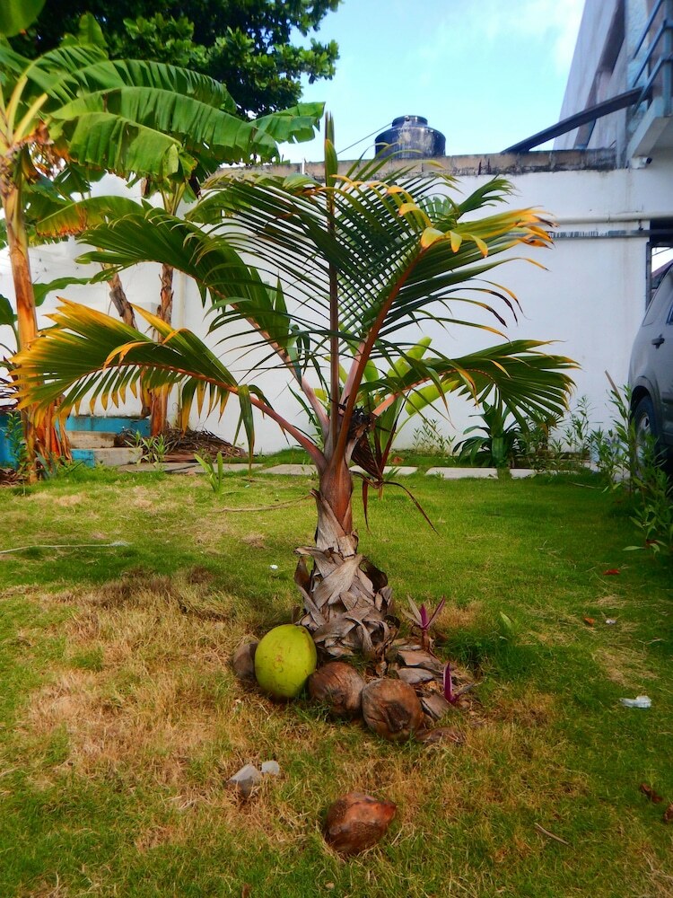 Motel Blue Coconut Cancun