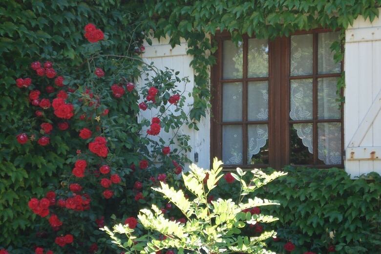Bed & Breakfast L'h�te Antique