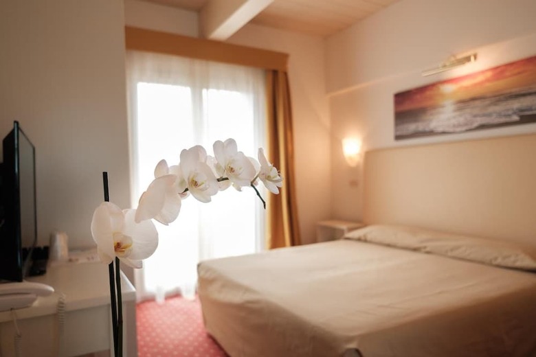 Hotel Alexander