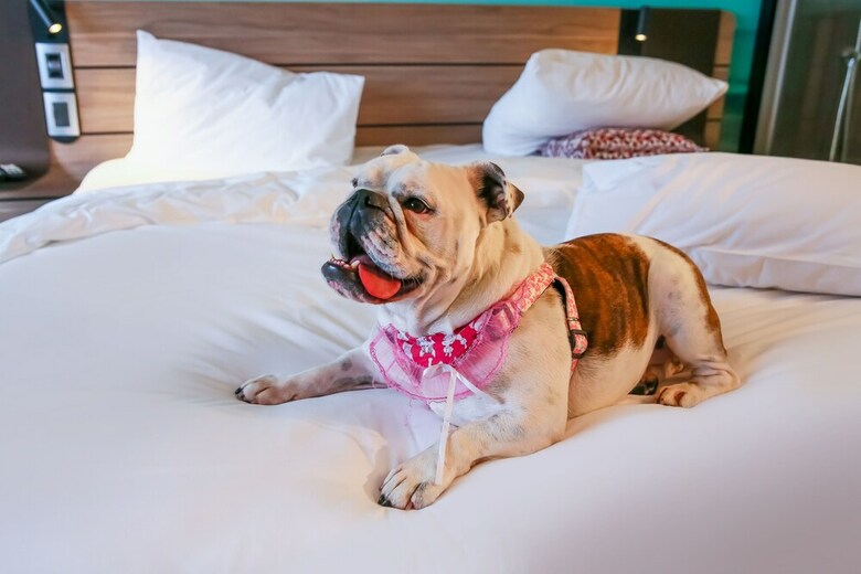 Hotel Novotel Sorocaba