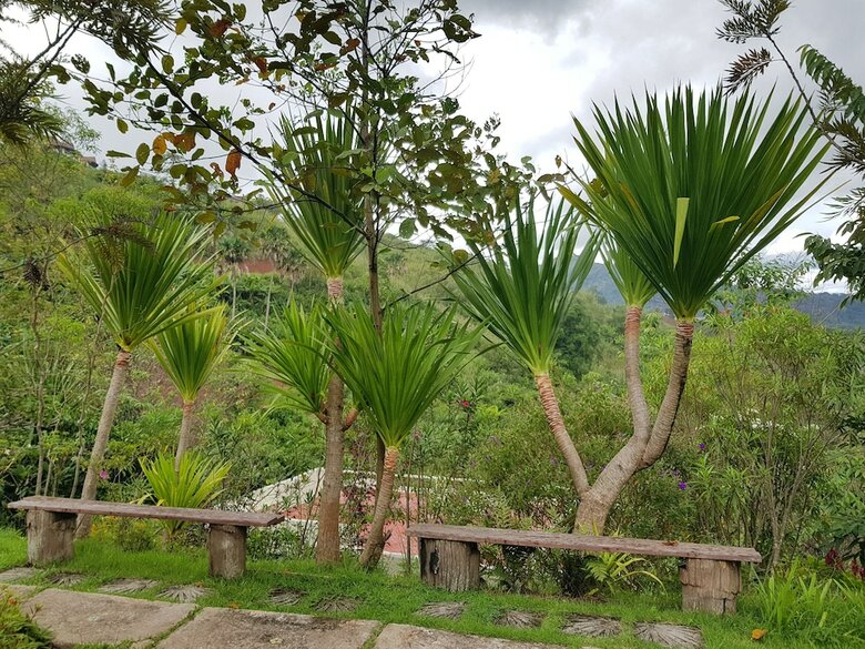 Hotel Rinnapat Khao Kho