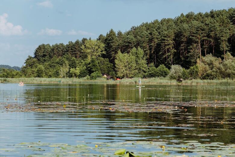 K�rnten Apartment Turnersee