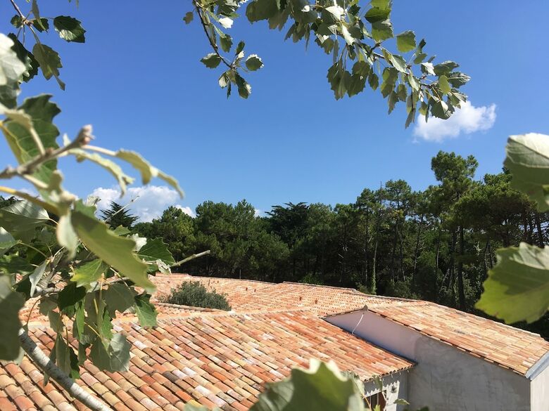 Hotel H�tel Ile de R�