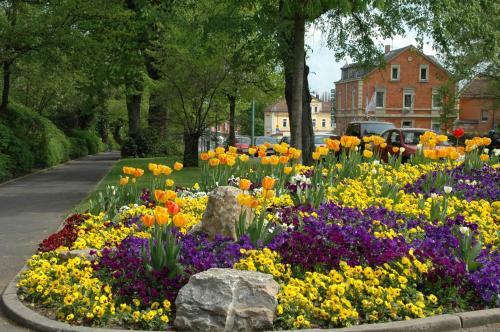 Tiptop Hotel Kitzinger Hof
