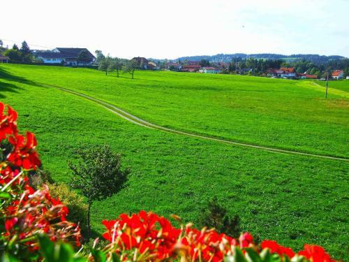 Hostal Hotel Allg�u Garni