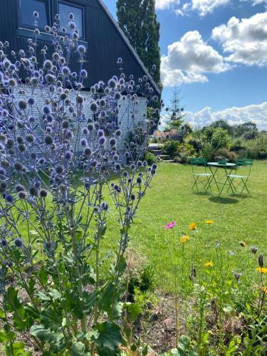 Apartamento Zum Felde Ferienwohnungen