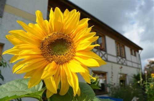 Hostal Pension Moritz Und Hofladen Unterm Storchennest