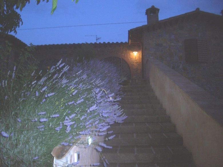 Agroturismo La Collina Dei Ciliegi