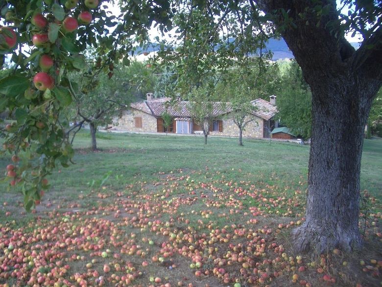 Agroturismo La Collina Dei Ciliegi