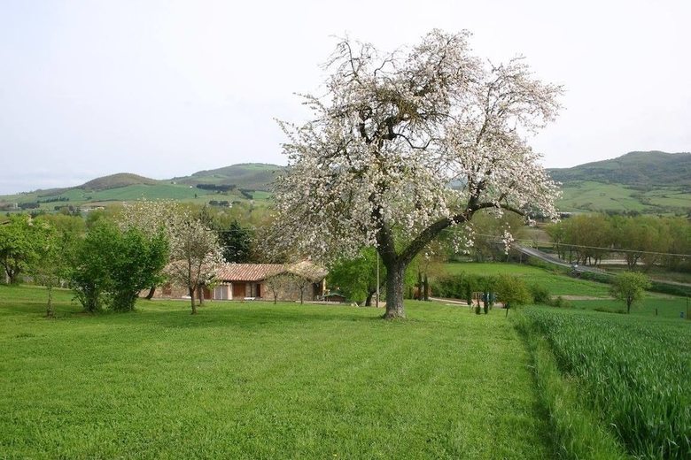 Agroturismo La Collina Dei Ciliegi
