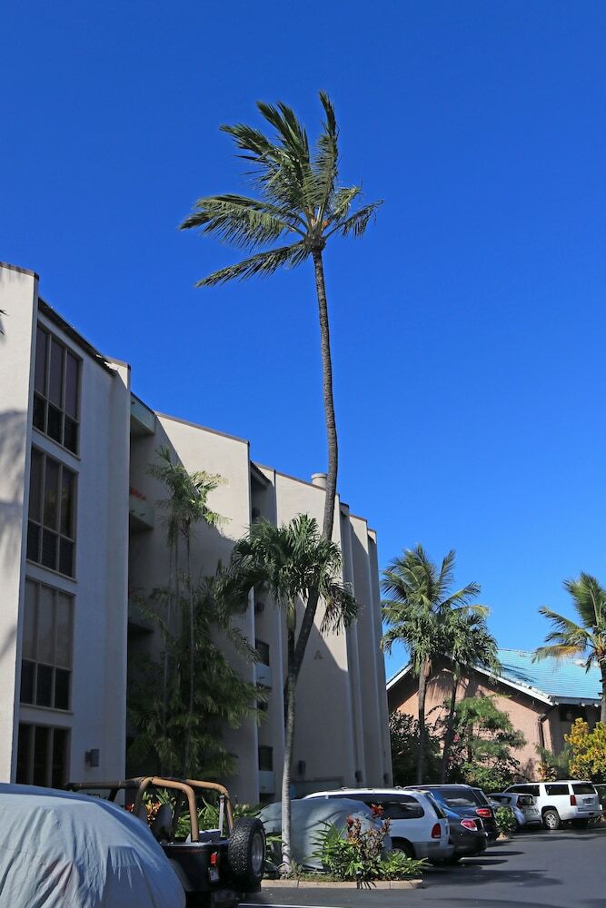 Hale Mahina A-403 By Redawning
