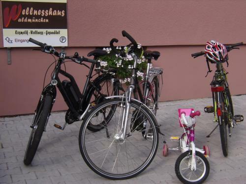 Hotel Wellnesshaus Waldm�nchen