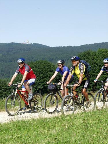 Hotel Wellnesshaus Waldm�nchen
