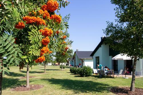 Seepark Auenhain