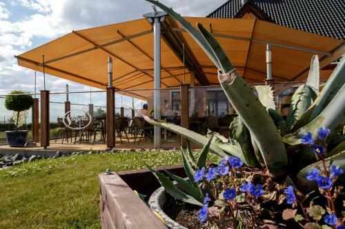 Seepark Auenhain