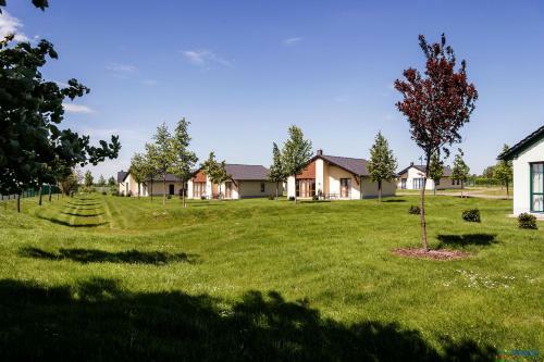 Seepark Auenhain