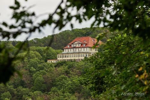 Hotel Stubenberg