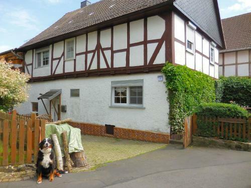 Small Apartment In Hesse With Terrace And Garden