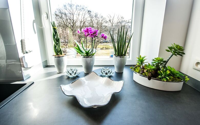 City Lights Apartments - Bosacka