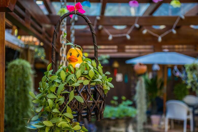 Hotel Pao Come Boutique House
