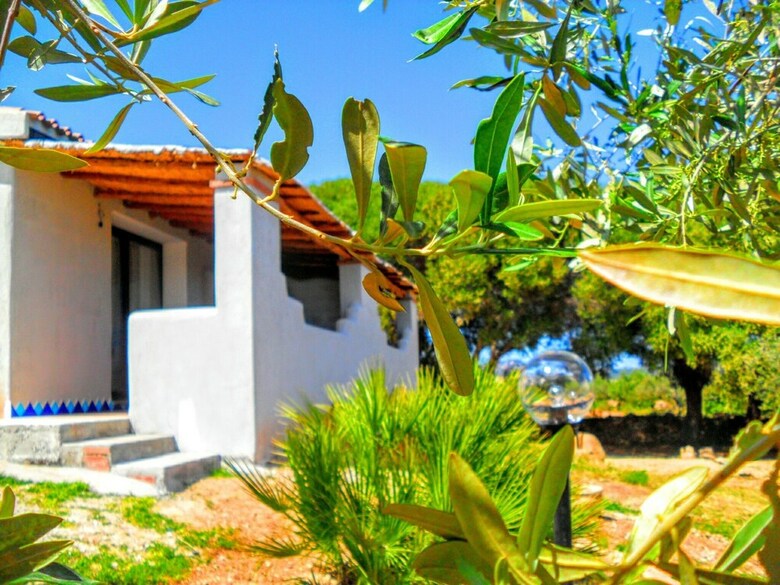 Apartamento Paradiso Degli Ulivi