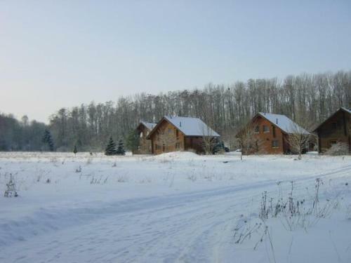 Holzhaus Am Silbersee