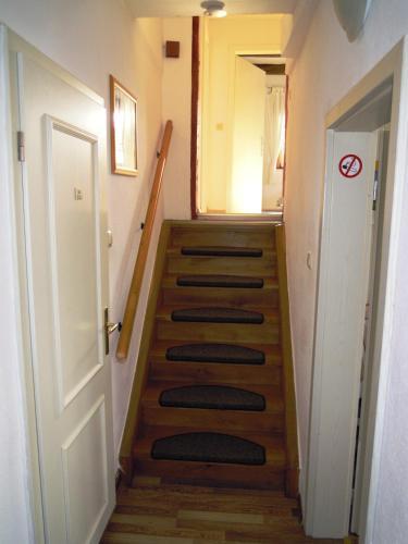 Mammut Apartments