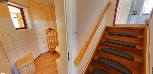 Mammut Apartments