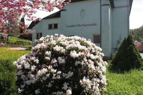 Hostal Gasthof Hertigswalde