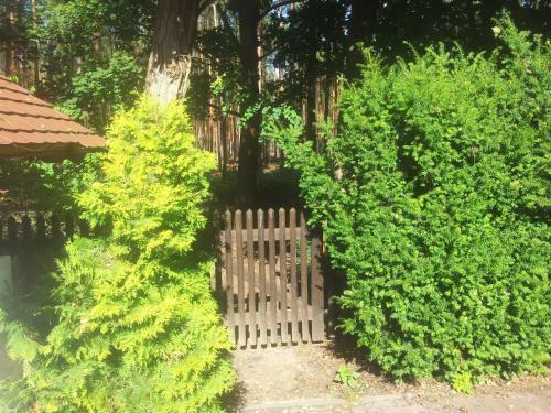 Hostal Biggis Waldpension